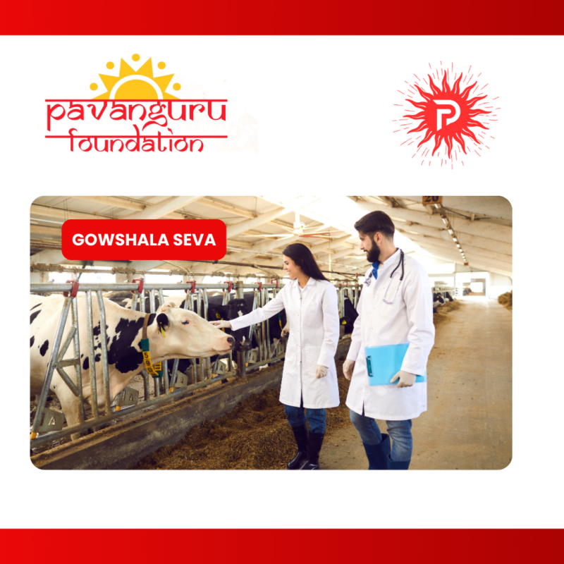 Cow-Treatment