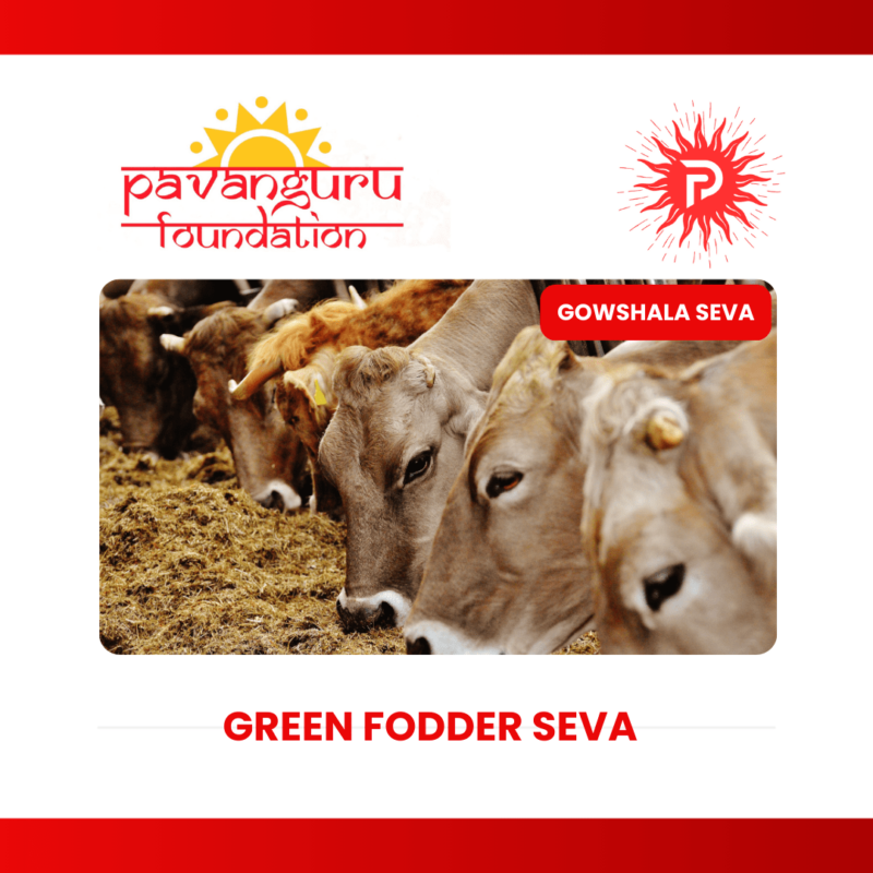 Gowshala Seva-Green-Fodder-Seva-min